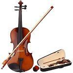 Best 5 Acoustic Violins You Can Get In 2020 Reviews + Guide