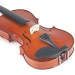 Best 5 Intermediate Violins You Can Purchase In 2020 Reviews