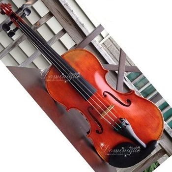 D. Z. Strad 609 Violin Model