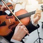 Best 5 Smallest Tiny Violin Offer For Sale In 2020 Reviews