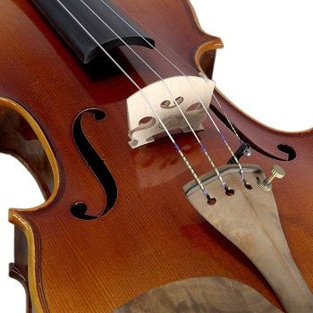 Best 5 Professional Violins & Their Brands In 2022 Reviews
